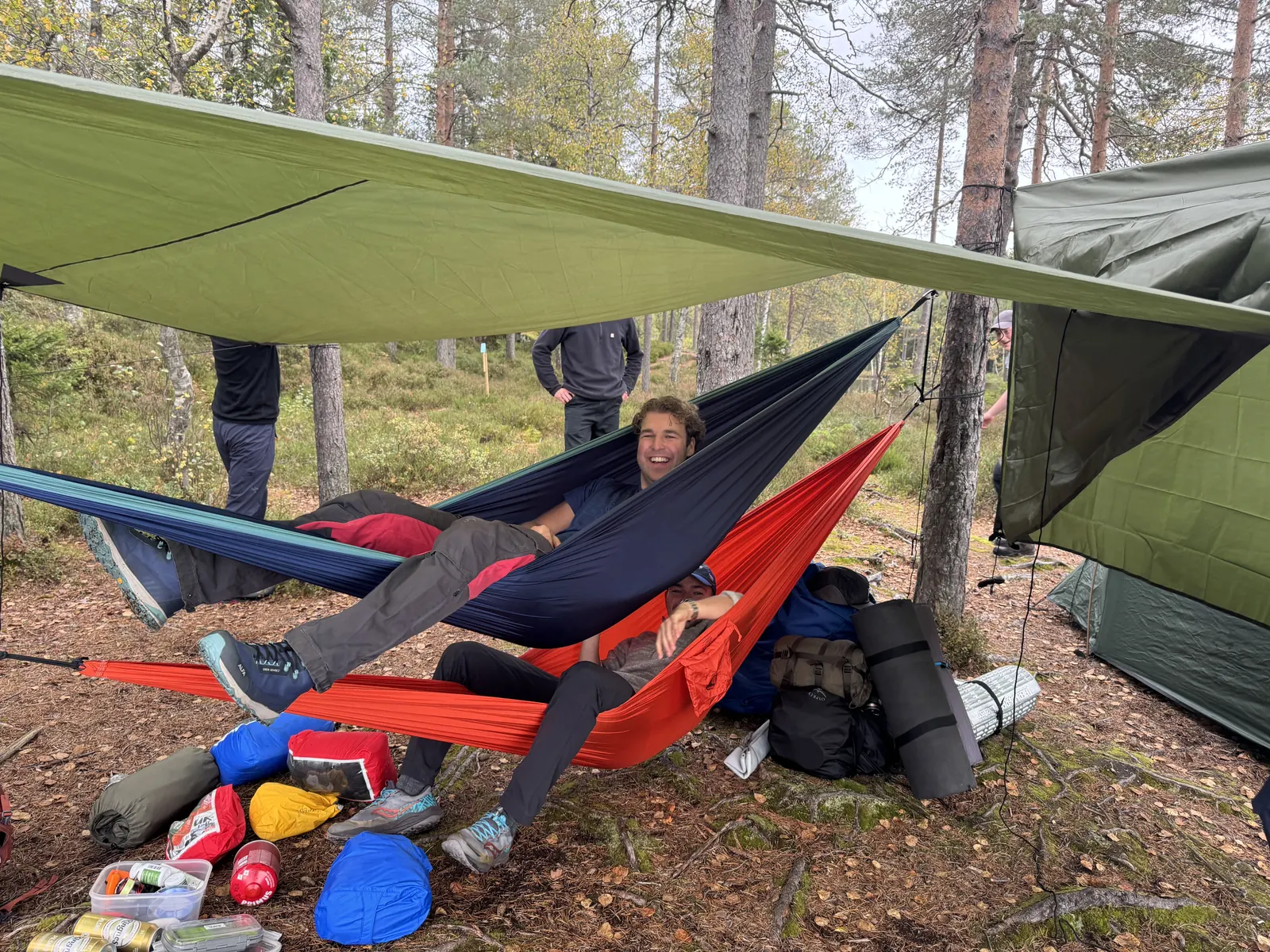 Hengekøyer og tarp i skogen